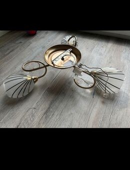 Deckenlampe - Birkenfeld (Rheinland-Pfalz)
