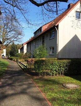 Wer will mich!? 3-Zimmer-Wohnung - Bremen