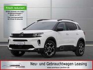 Citroen C5 Aircross 130 Shine //Kamera/Navi/Sitzheizung/LED - Thannhausen