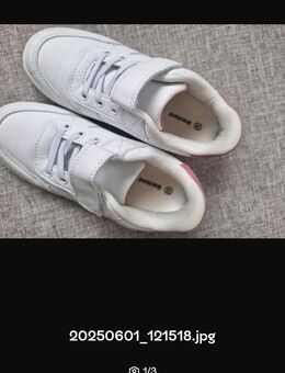 Turnschuhe Größe 31 - Blomberg (Nordrhein-Westfalen)