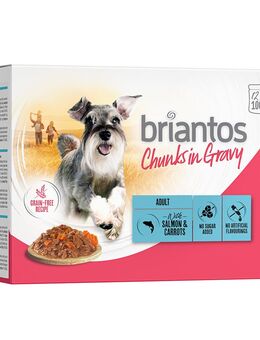Sparpaket Briantos Chunks in Gravy 48 x 100 g - Lachs & Karotten