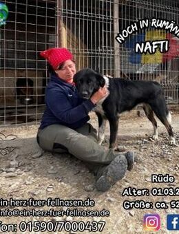 NAFTI-sooo ein liebevoller, hübscher Bub - Waakirchen