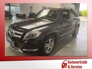 Mercedes-Benz GLK 250 4Matic BlueTec BiXenon,Comand,Tempom - Potsdam