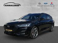 Ford Focus, ST-Line X MHEV Sportpaket El Panodach digitales, Jahr 2024 - Bremerhaven