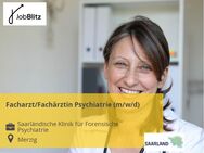 Facharzt/Fachärztin Psychiatrie (m/w/d) - Merzig