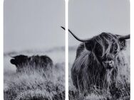 WENKO Herd-Abdeckplatte Universal Modell Highland Cattle, Glas, Kunststoff, (Set, 2 tlg), Herdabdeckung für alle Herdarten, kratzfest, mit rutschfesten Füßen