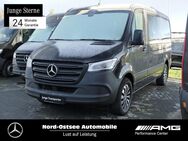 Mercedes Sprinter, 317 Tourer Dachklima, Jahr 2023 - Heide