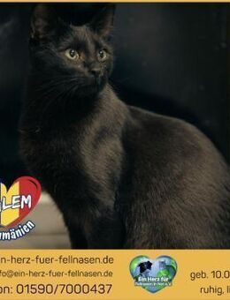 Salem träumt von einem eigenen Zuhause! - Waakirchen