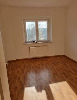 Große 2 Raumwohnung mit Balkon und Wohnküche - Chemnitz