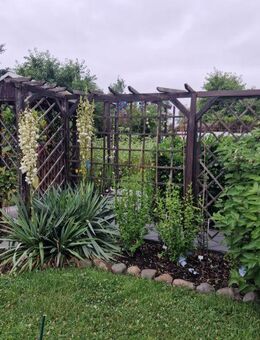 Traumgarten in Kleingartenanlage mit 1 Zimmer Haus südlich von Leipzig ca. 15 min. abzugeben - Leipzig Süd