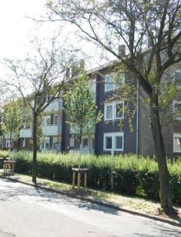 Bezugsfertige 3-Zimmerwohnung mit Balkon in ruhiger und grüner Lage... - Duisburg