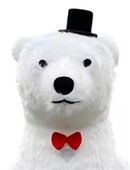 Eisbär für Party, Geburtstag oder Einschulung mieten in 13125