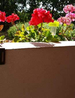 Suche Dich... - Görlitz