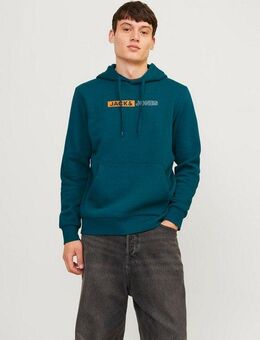 Jack & Jones Kapuzensweatshirt JJECORP LOGO SWEAT HOOD PLAY NOOS