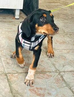 Elara sucht ihre Familie zum Ankommen - Berlin