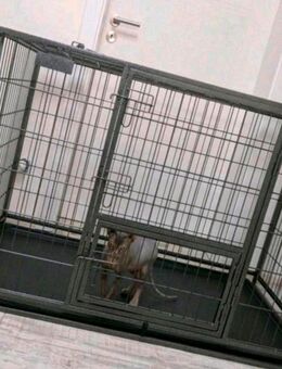 Tierkäfig Indoor und Outdoor - Wismar