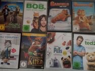 Verschiedene DVDs - Bad Marienberg (Westerwald) Zentrum