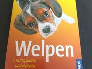 Welpen von Perdita Lübbe-Scheuermann (2009, Taschenbuch) - Essen