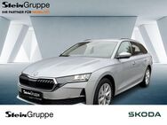 Skoda Octavia, 2.0 TDI Combi W Selection, Jahr 2024 - Gummersbach