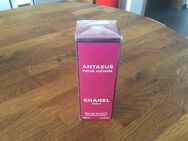 ANTAEUS Pour Homme ORIGINAL - Mengerskirchen