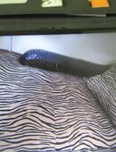 Sofa gegen Abholung in 46244