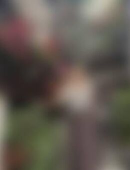 Pet*** - Diemelstadt