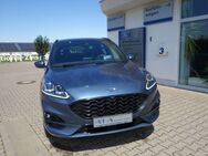 Ford Kuga, ST-Line X, Jahr 2021 - Hettstedt