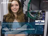(Senior) IT System Administrator (m/w/d) - Waging (See)