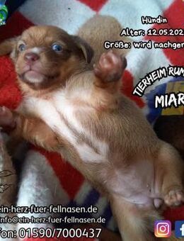 MIARA-ist gespannt,was noch passiert - Waakirchen