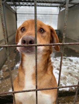 Neon von kettenlos - Bollingstedt