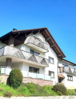 "Junges Paar aufgepasst! Euern ersten Job gefunden? Pferd, Motorrad und Mountainbiking - Oberkirch
