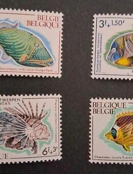 Briefmarken Belgien 1968 Zierfische Satz komplett postfrisch - Görlitz
