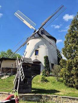 DRESDEN: Sanierte Holländerwindmühle mit nachgefragtem Restaurantbetrieb - Dresden