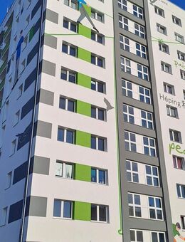 Helle und gerÃ¤umige 2 Raum Wohnung - Sandersdorf Sandersdorf