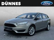 Ford Focus, 1.5 TDCi Trend, Jahr 2018 - Regensburg