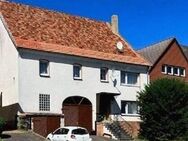 Großer Resthof im Dornröschenschlaf Tier-Pferdehaltg mögl - Trendelburg