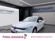 VW Golf Variant, 2.0 TDI 8 Life AppConnect, Jahr 2022 - Hamm