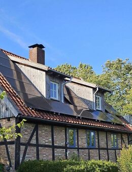 Gemeinsam, Natur, Toplage an der Schlei - Rieseby
