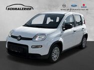 Fiat Panda, 1.0 Base Mild Hybrid el SP Spieg beheizbar teilb Rücksb, Jahr 2022 - Bremerhaven