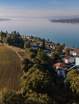 IHR LOGENPLATZ ÜBER DEM SEE - Historische Villa mit modernem Anbau - Überlingen