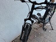 Fahrrad - Trittau