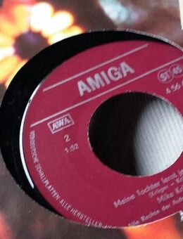 SCHALLPLATTEN AMIGA DER NIPPEL - Berlin Lichtenberg