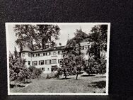 Ansichtskarte-Schloß Hotel Brestenberg a./Hallwilersee-Retaurant-Bar. - Nörvenich