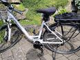 Damen E-Bike Trekking City Diamant Mandara EDT 28 / 50 weiß in 72461