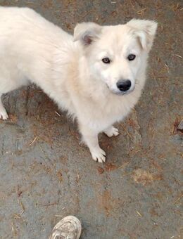 Wendy liebt die Menschen 💕 - Marienfließ