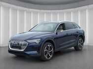 Audi e-tron 55 quattro*Luftfed AHK 360°K B&O Panodach - Ruhstorf (Rott)