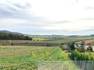 Landwirtsch. Fläche/ Ackerland, verpachtet, in Gleußen am Ortsrand in toller Lage zu verkaufen. - Itzgrund