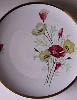 Johann Seltmann Vohenstrauß Porzellan Kuchenteller Teller Blumen Goldrand 28 cm Retro Vintage 3,- - Flensburg