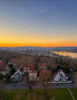 Atemberaubender Blick über Mainz - Mainz