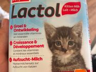 Kitten-Milch - Weißenfels